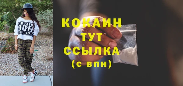 прущие грибы Медногорск