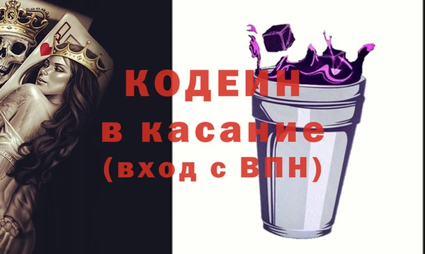 прущие грибы Медногорск