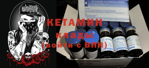 прущие грибы Медногорск